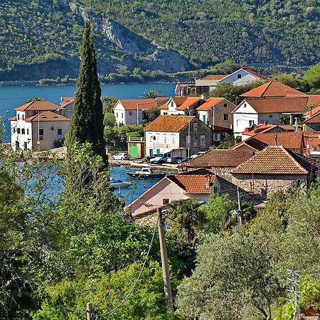 Apartments Dinko Zifra Tivat Exteriér fotografie