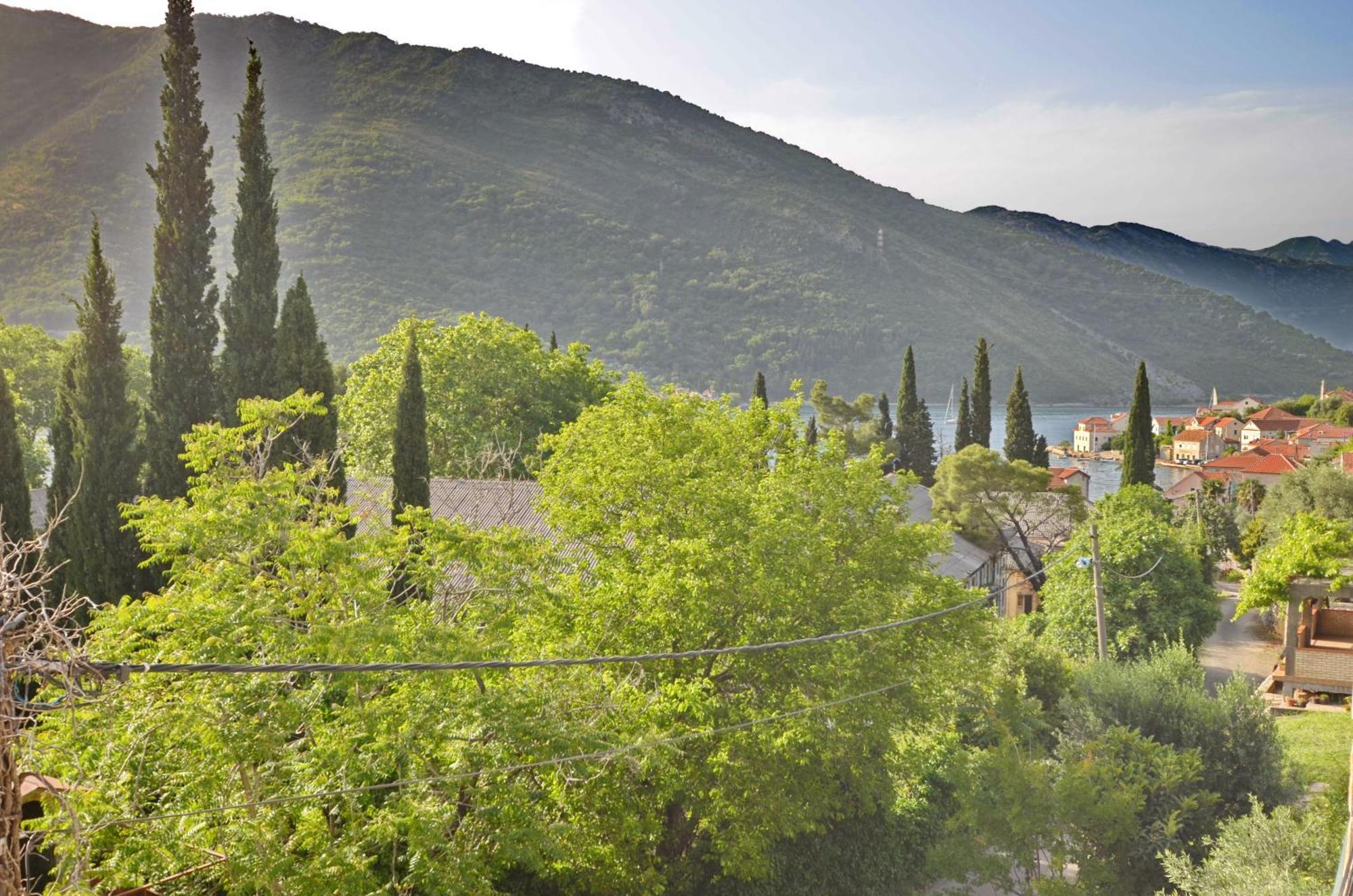 Apartments Dinko Zifra Tivat Pokoj fotografie