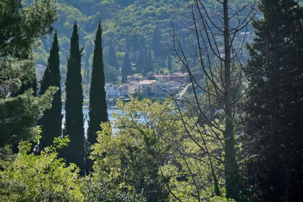 Apartments Dinko Zifra Tivat Exteriér fotografie